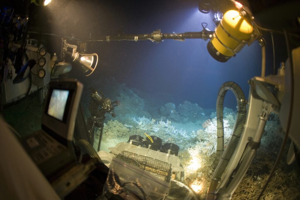 Re-thinking Precautionary Principle and the Principle on Environmental Impact Assessment in the Context of Deep-Sea Mining: Some Preliminary Thoughts